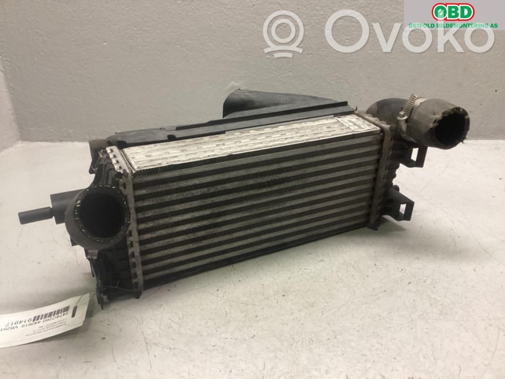 Intercooler radiator   2026747,2026747