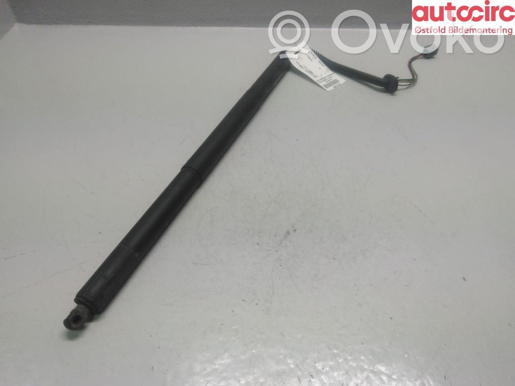 Tesla Model S Motor ridicare hayon/capotă portbagaj 