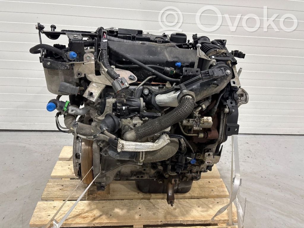 Variklis   Y65002300,Y6,Y6,Y65002300