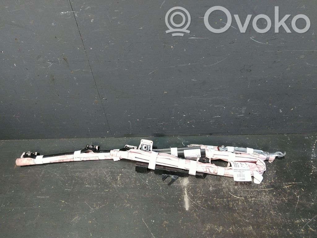 Airbag del techo   2598138,L1TBA042D95AF,2598138,L1TBA042D95AF