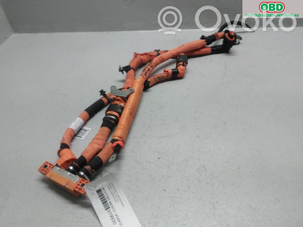 Renault Captur II Korkeajännitekaapeli 
