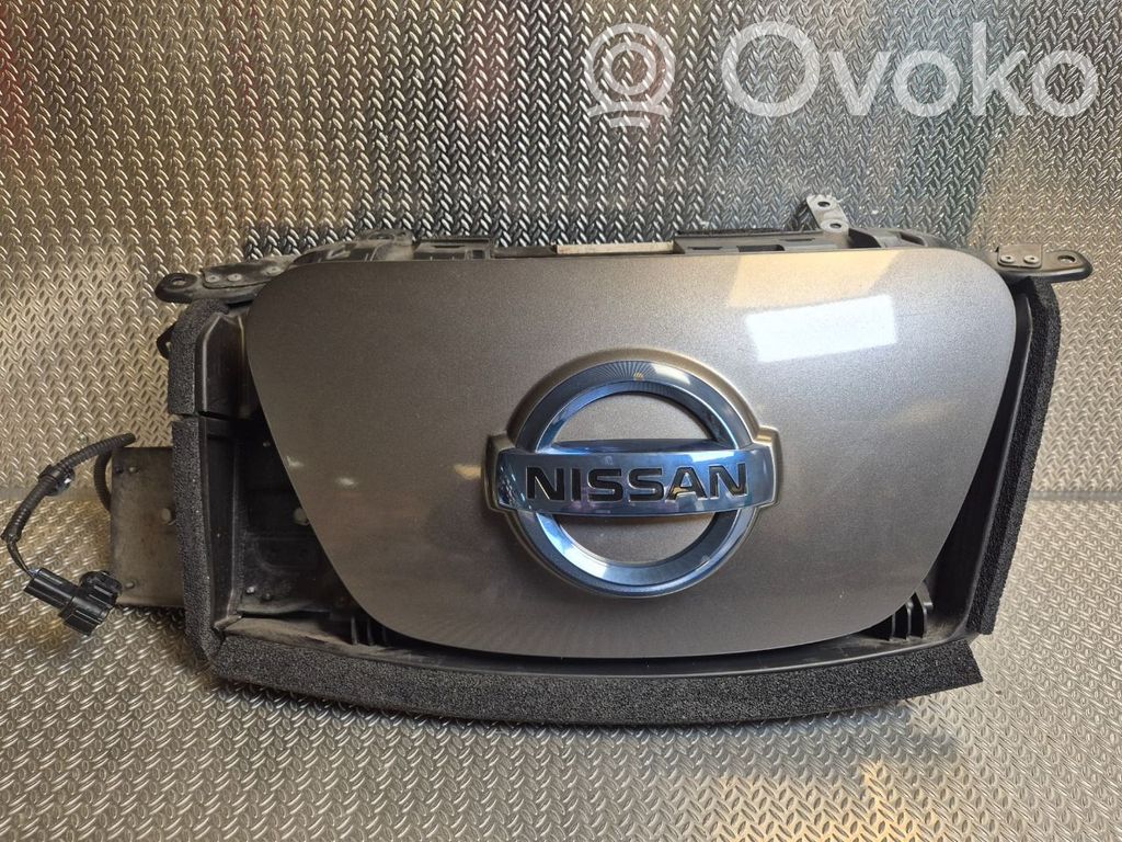 Nissan Leaf I (ZE0) Schermo del visore a sovrimpressione