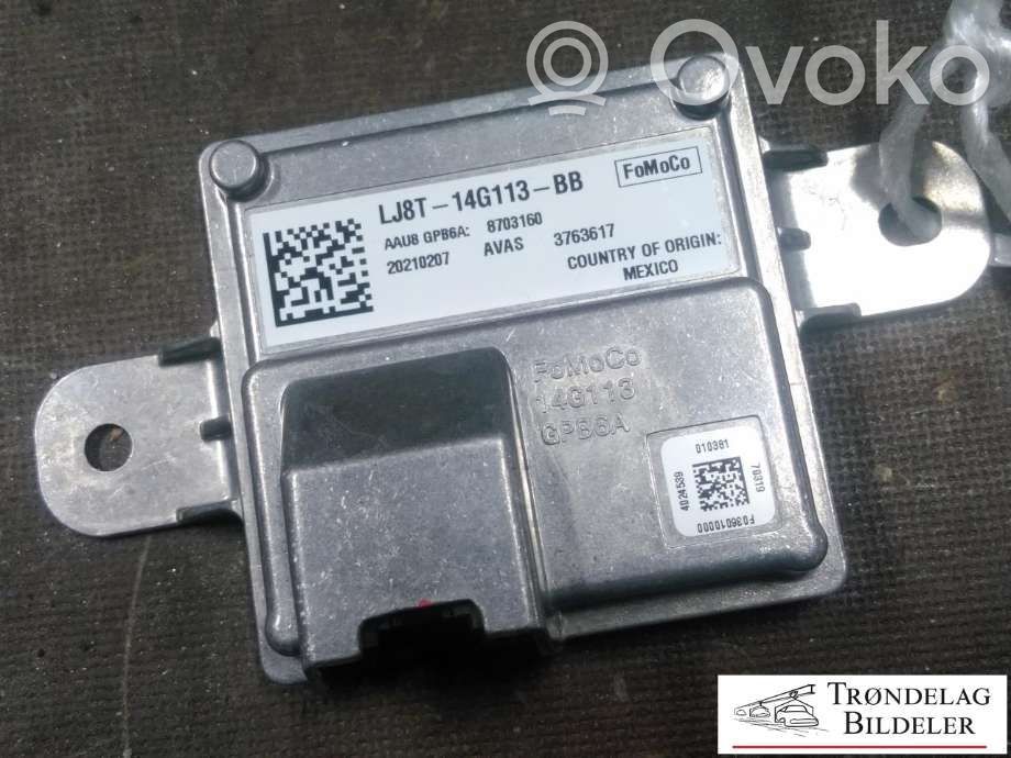 Ford Mustang Mach-E Other control units/modules 