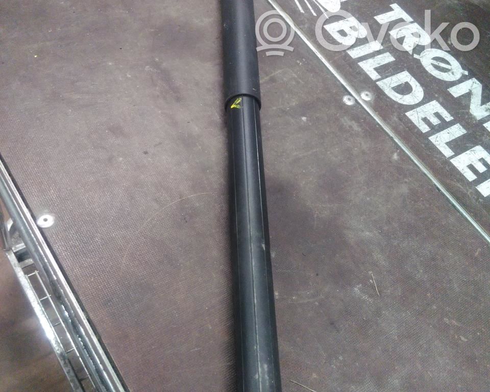 Tesla Model S Ammortizzatore portellone posteriore/bagagliaio