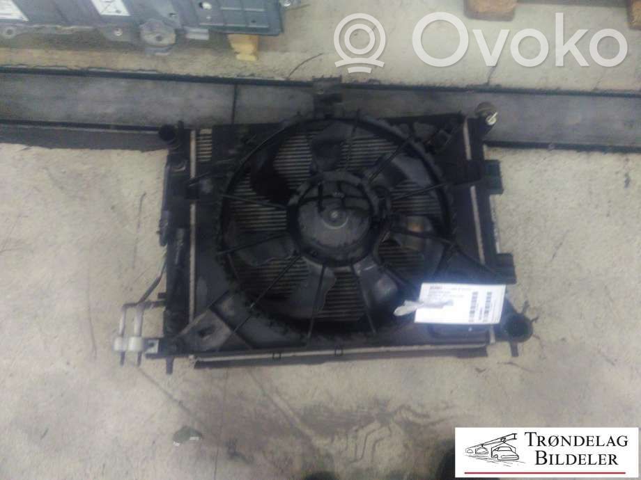 Radiator set   97606A5801,97606A5801