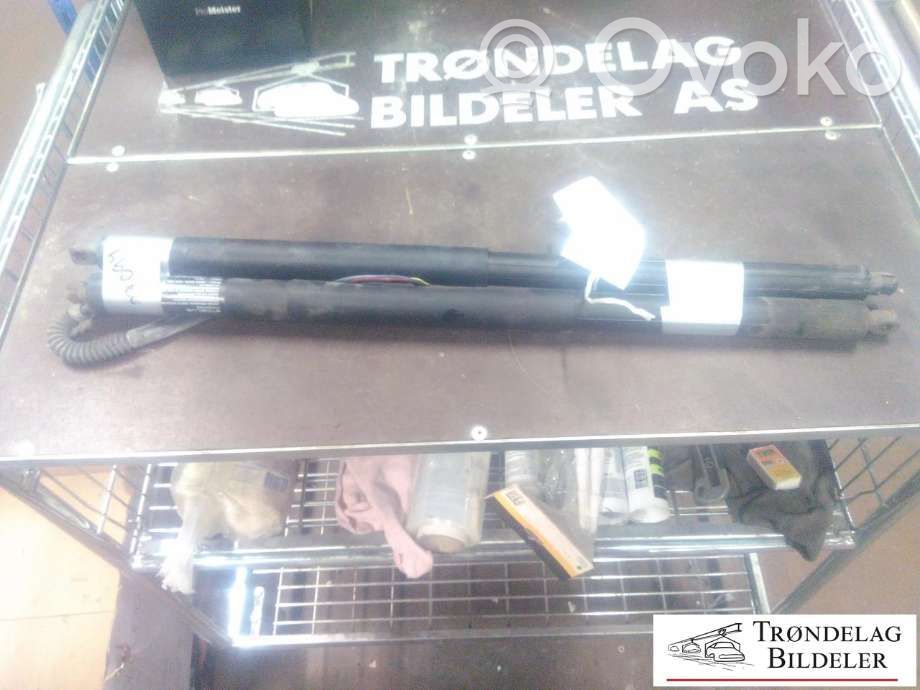 Tesla Model S Tailgate/trunk strut/damper 