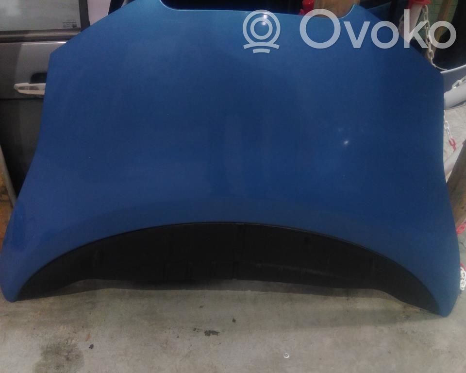 Nissan Leaf I (ZE0) Capó/tapa del motor