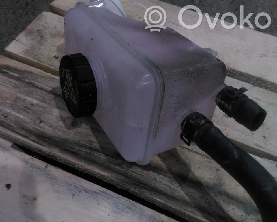 Vase d'expansion de carburant
