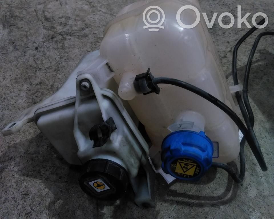 Peugeot Boxer Vas expansiune combustibil 