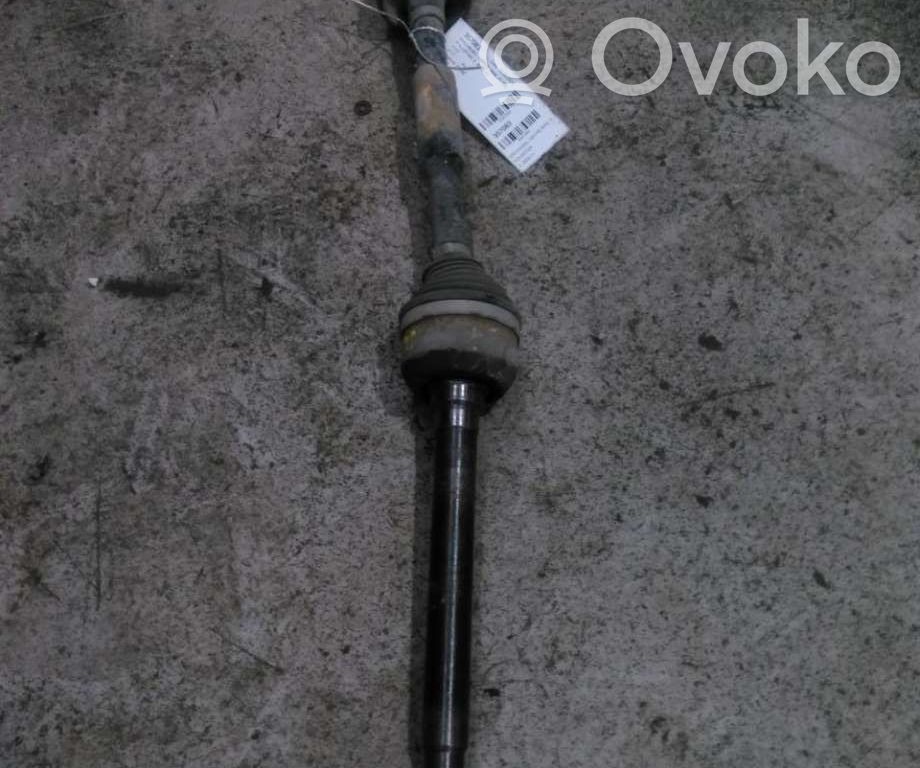 Polestar 2 Galinis pusašis 