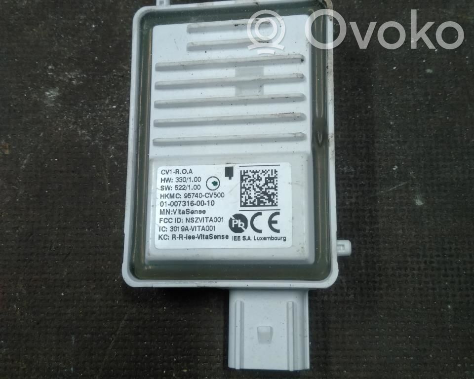 KIA EV6 Other control units/modules 