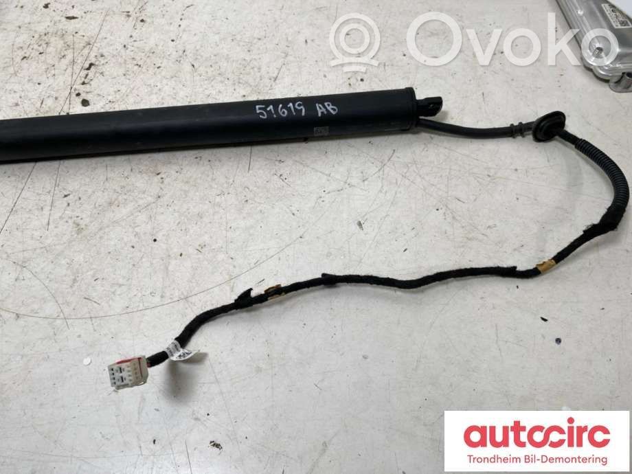Jeep Avenger Tailgate/trunk strut/damper 