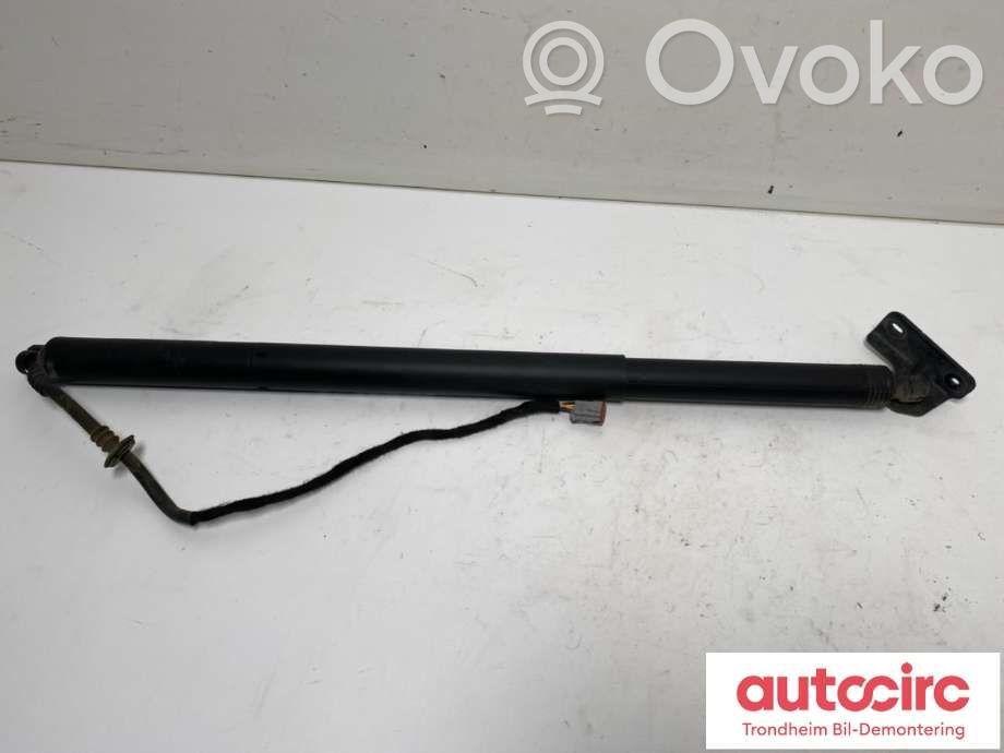 Ford Focus Tailgate/trunk strut/damper 
