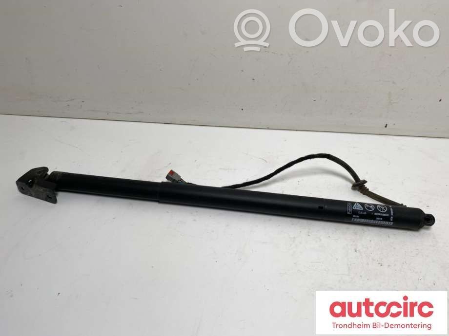Ford Focus Tailgate/trunk strut/damper 