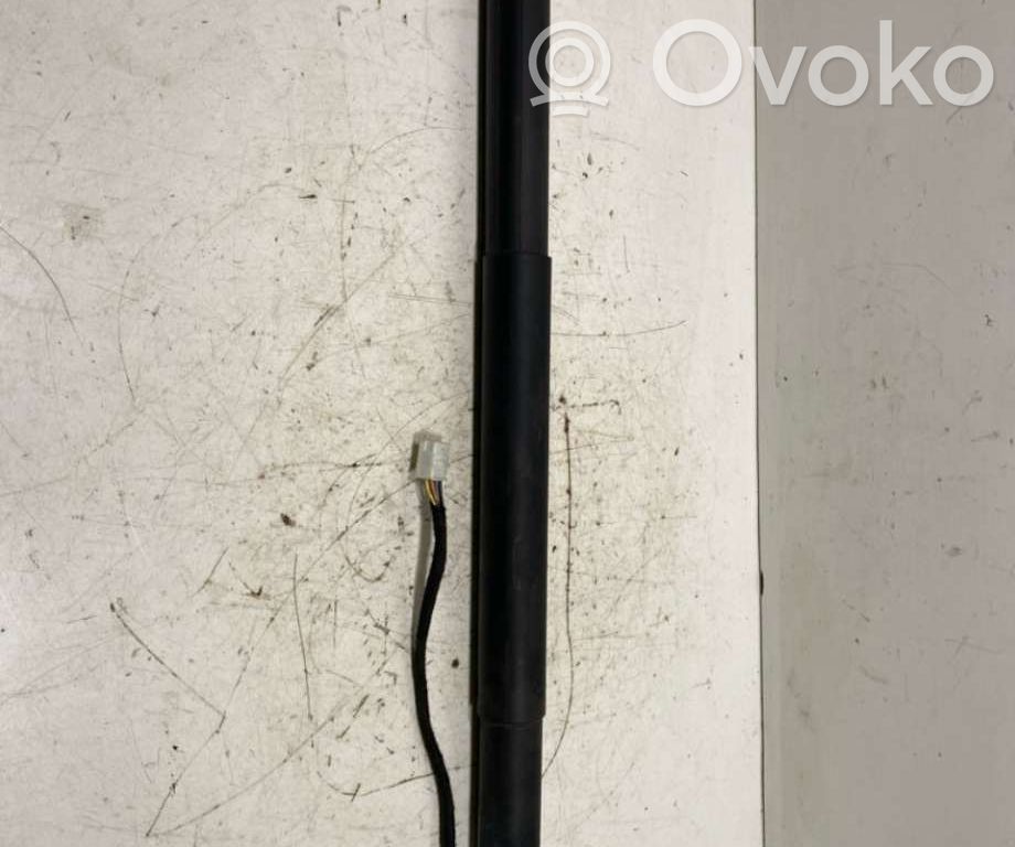 Tesla Model X Tailgate/trunk strut/damper 