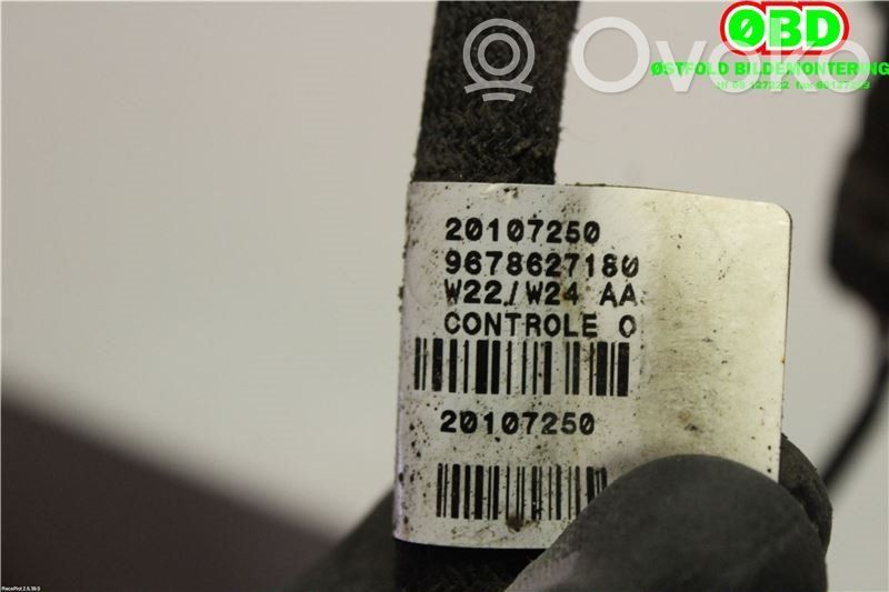 Peugeot 508 Wiring harness