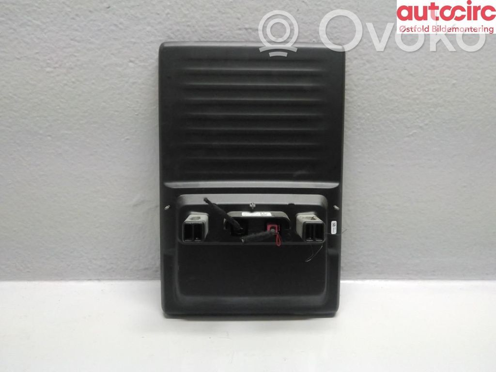 Ford Mustang Mach-E Kita panelės detalė 