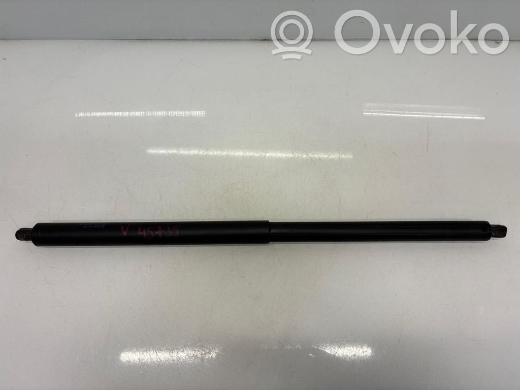 Tesla Model S Tailgate/trunk strut/damper 