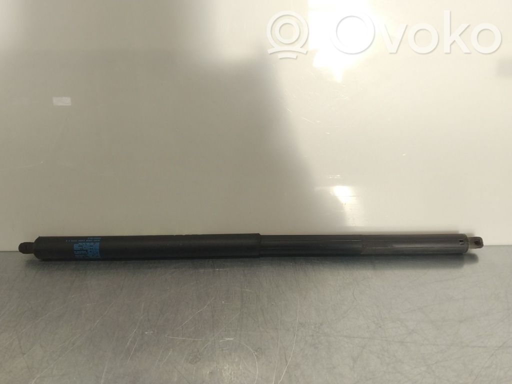 Tesla Model S Ammortizzatore portellone posteriore/bagagliaio