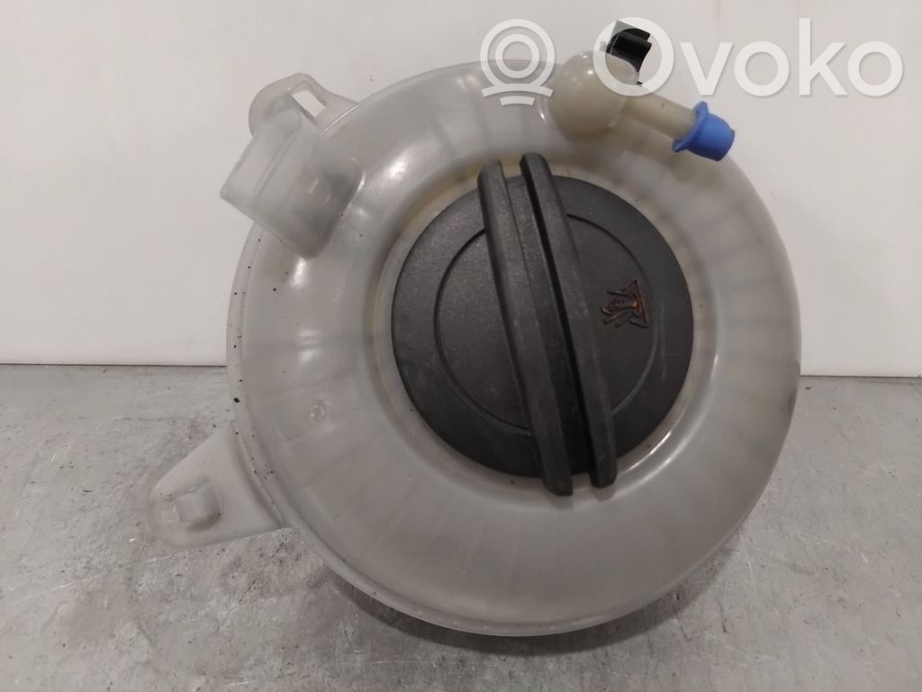Skoda Octavia Mk3 (5E) Vas expansiune combustibil 