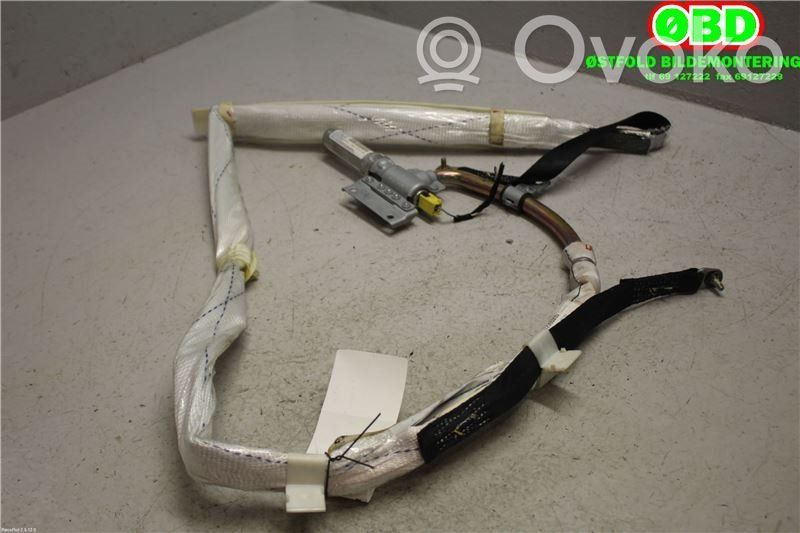 BMW X5 E53 Airbag da tetto
