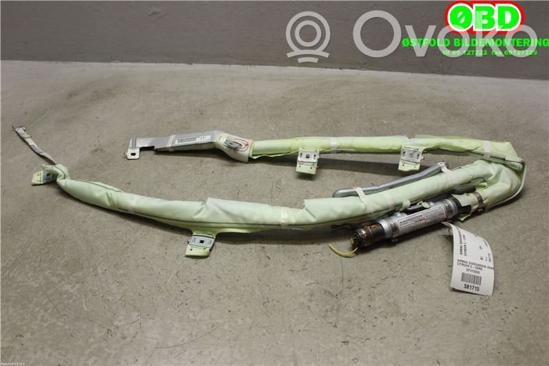 Citroen C-Zero Airbag del techo 