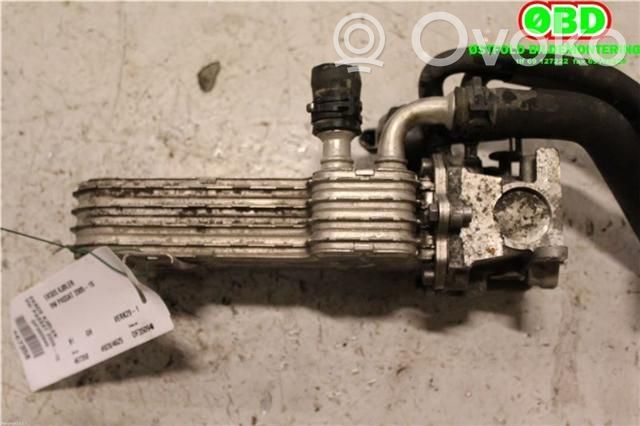 Volkswagen PASSAT B6 Răcitor supapă EGR