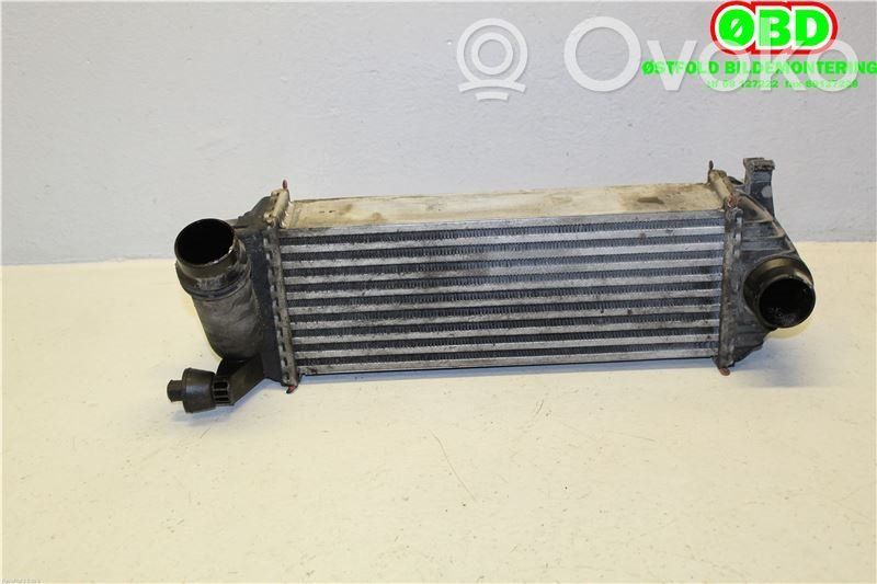 Mercedes-Benz Citan W415 Radiatore intercooler