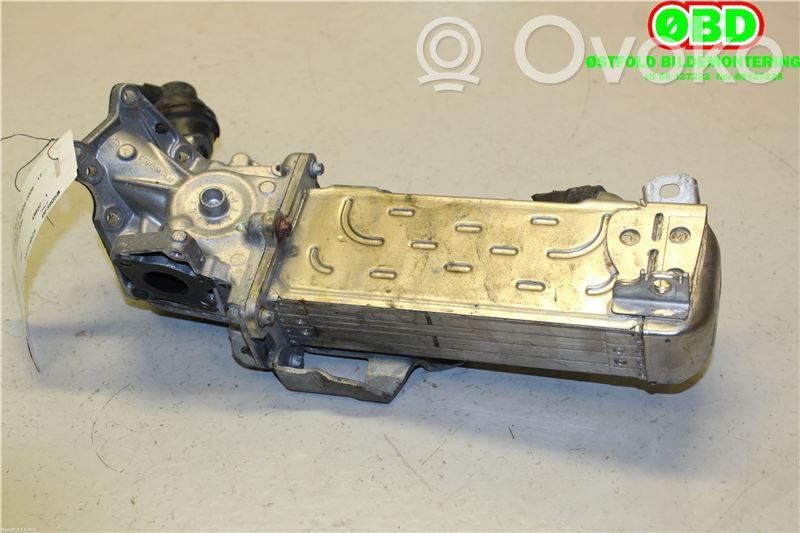 Mercedes-Benz Sprinter W906 Valvola di raffreddamento EGR