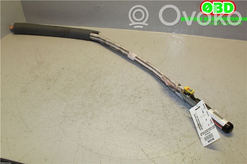 Mercedes-Benz Sprinter W906 Airbag del techo 