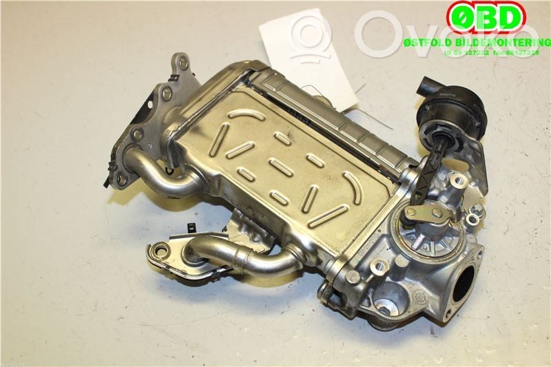 Mercedes-Benz E W213 Valvola di raffreddamento EGR 