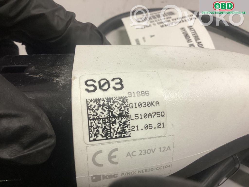 Hyundai Ioniq 5 Cavo di ricarica per auto elettriche 