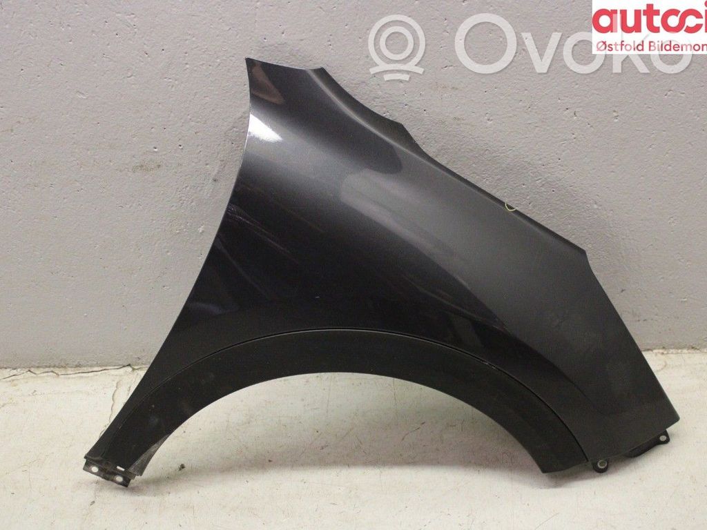 Guardabarro   66321G5000,66321G5000
