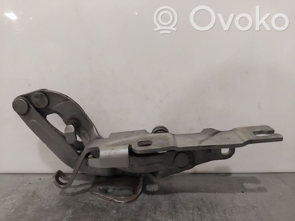 Peugeot RCZ Balamale capotă 