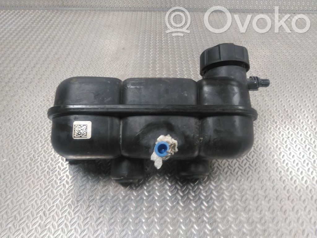 BMW X1 F48 F49 Vas expansiune combustibil 