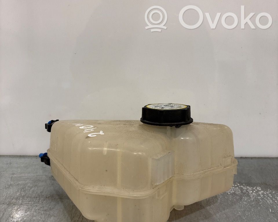 Ford Fiesta Vaso di espansione carburante 