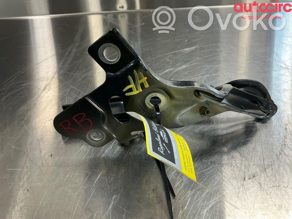 Audi e-tron Engine bonnet/hood hinges 