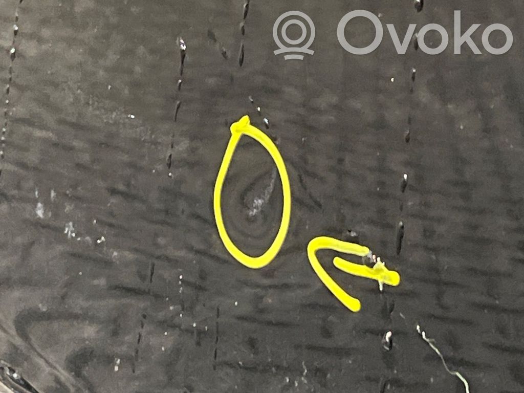 Tesla Model 3 Tailgate/trunk/boot lid 