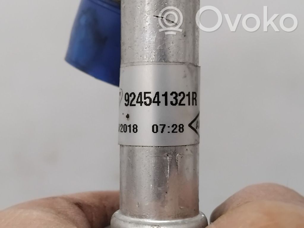 Renault Zoe Conductă/furtun aer condiționat (A/C)