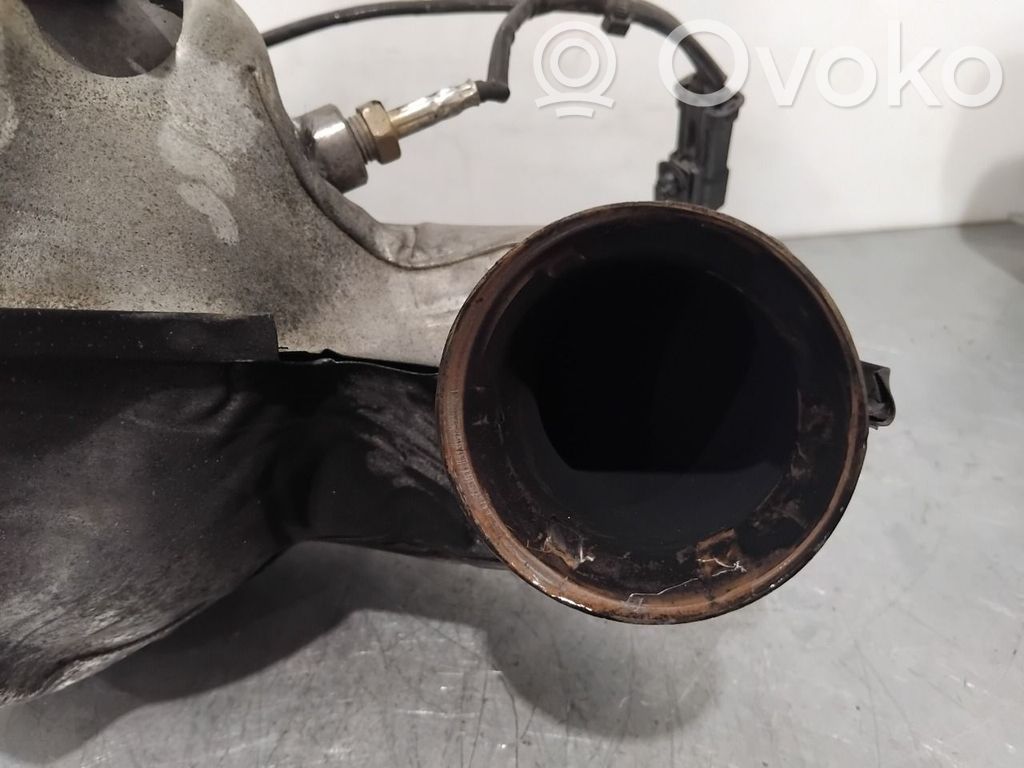 Citroen C4 II Filtr cząstek stałych Katalizator / FAP / DPF 