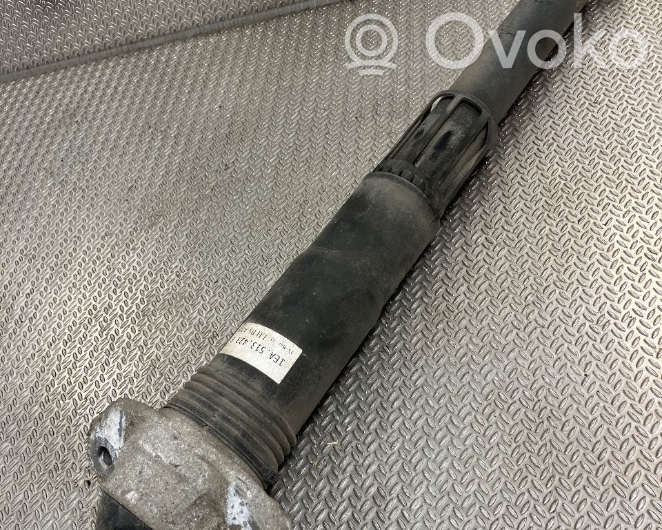 Volkswagen ID.3 Amortizor spate 