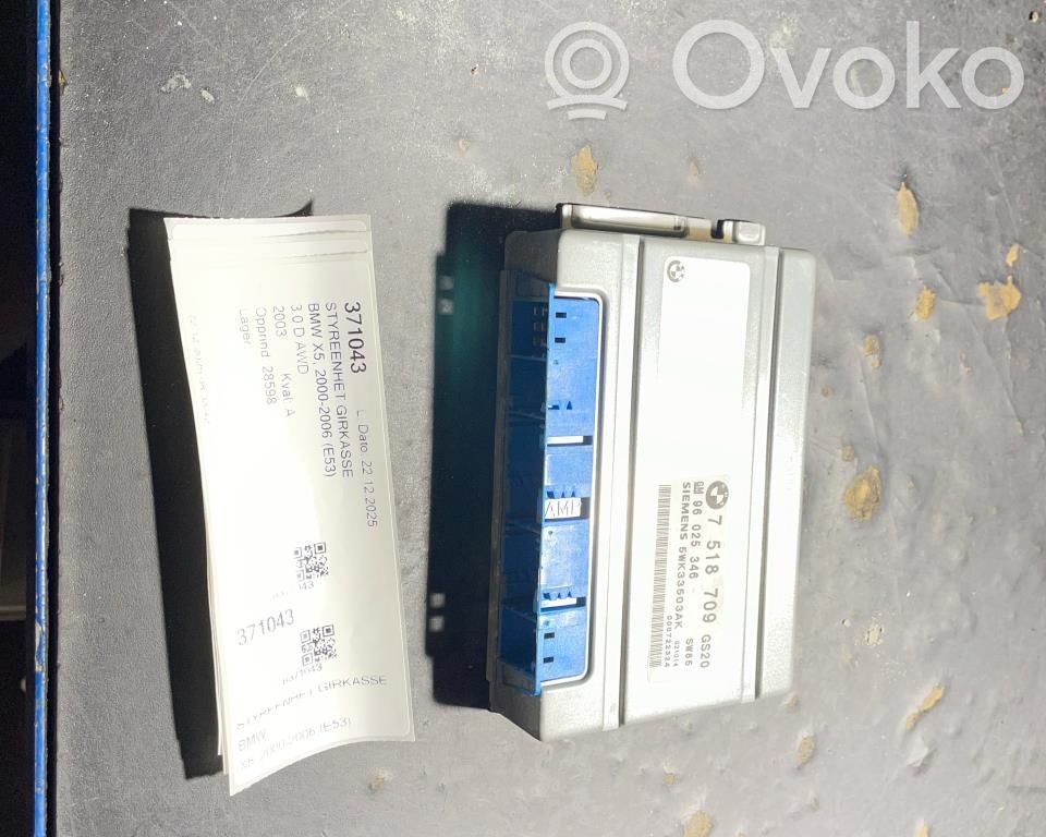 BMW X5 E53 Centralina/modulo scatola del cambio 