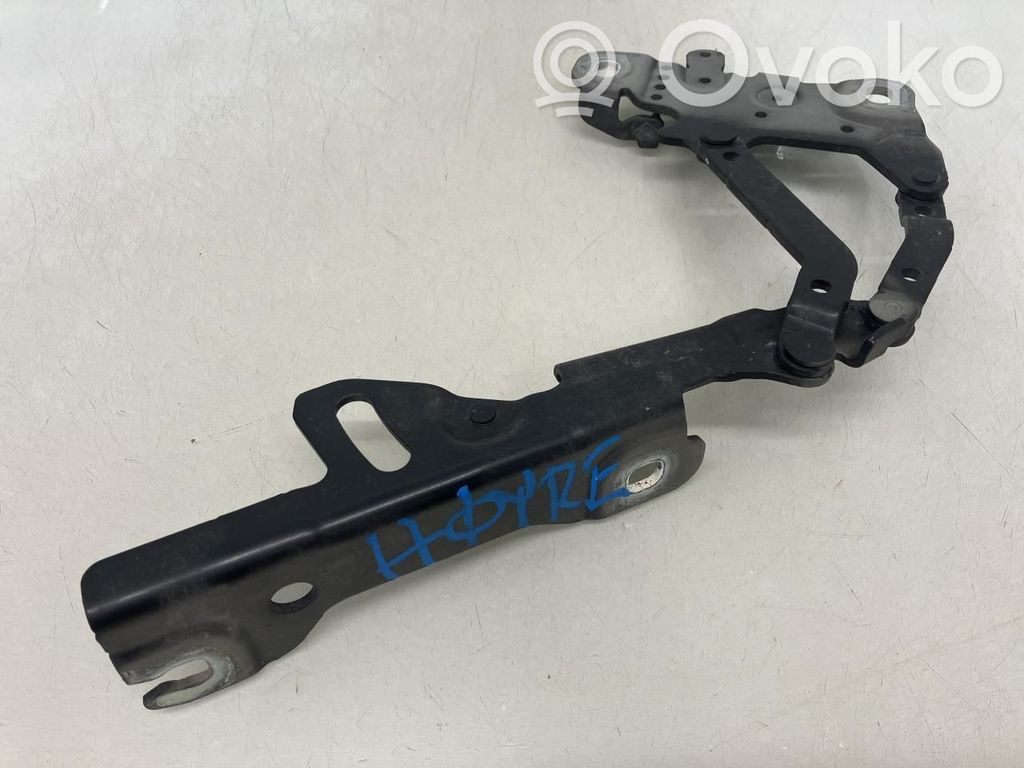 BMW 3 F30 F35 F31 Cerniere del vano motore/cofano 