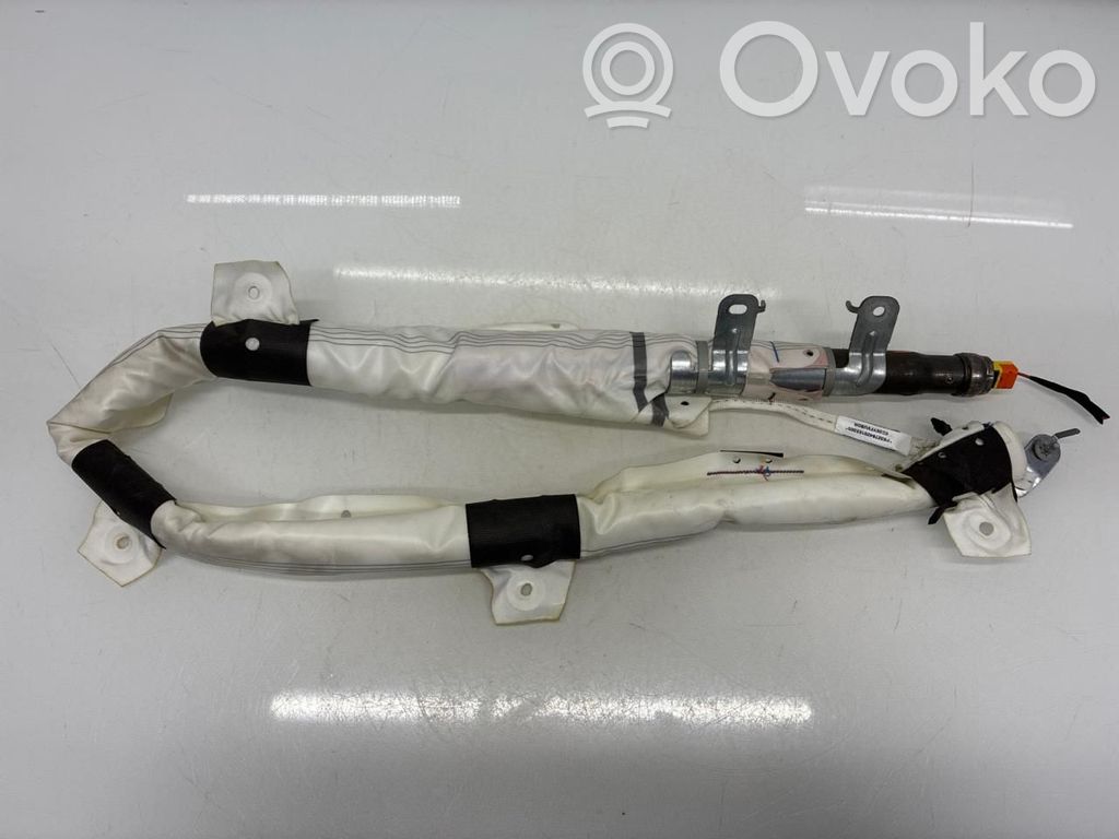Tesla Model X Kopfairbag 