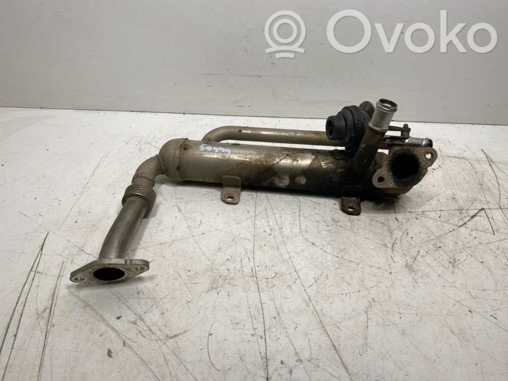 Volkswagen Golf Plus Valvola di raffreddamento EGR