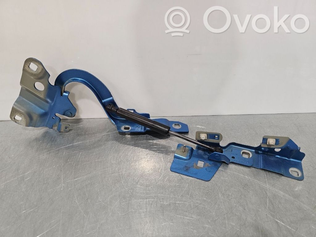 Renault Zoe Konepellin saranat 