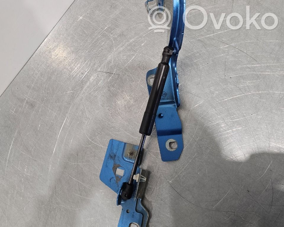 Renault Zoe Konepellin saranat 