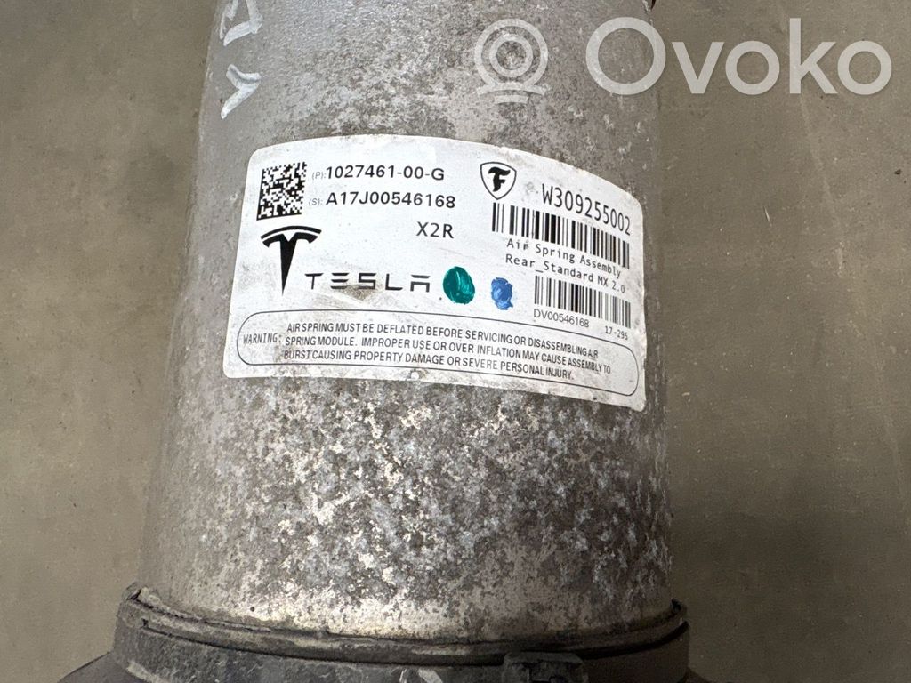 Bolsa de la suspensión neumática   102746100G,102746100G