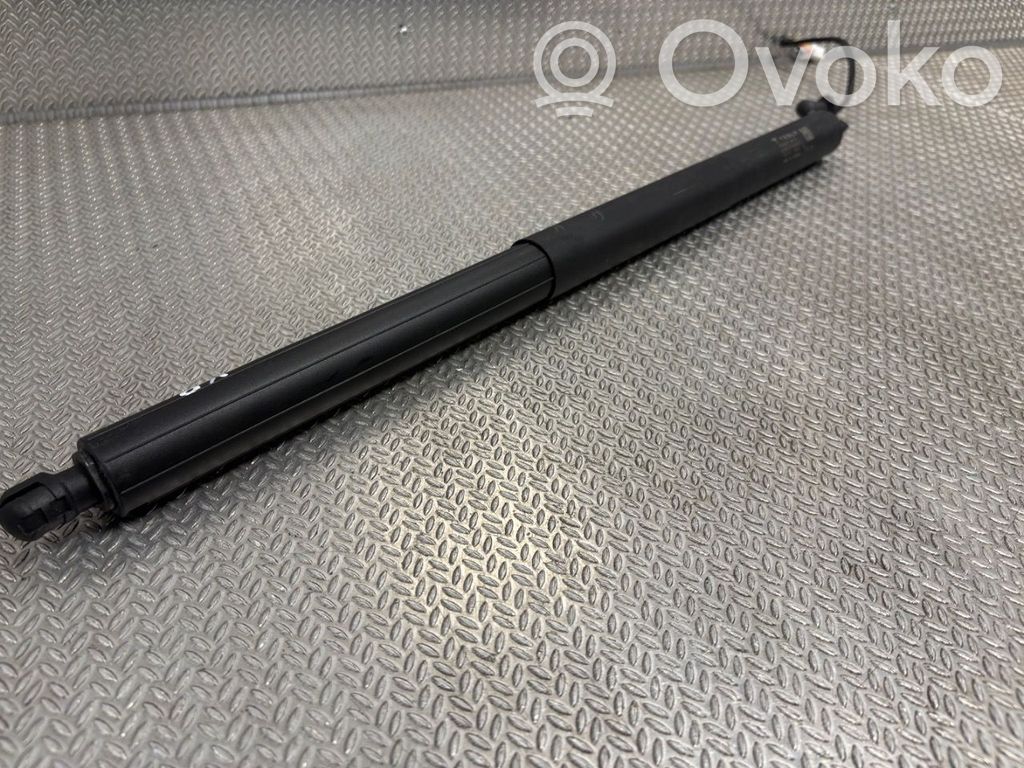 Tesla Model Y Tailgate/trunk strut/damper 
