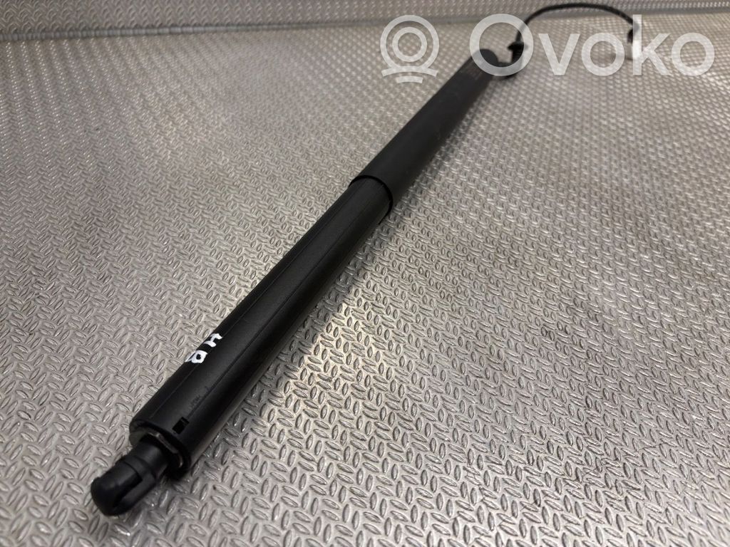Tesla Model Y Tailgate/trunk strut/damper 